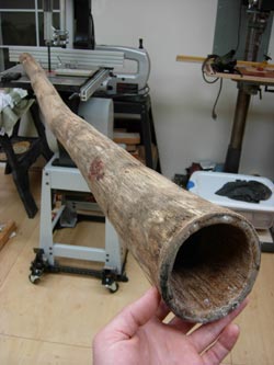 agave didgeridoo wood mouthpiece