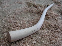 Mystery Wood Didjeridu in Progress