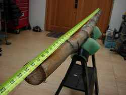 agave didgeridoo 2