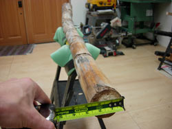 agave didgeridoo 3