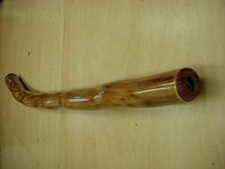 agave didgeridoo 18
