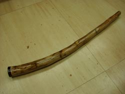 agave didgeridoo 19