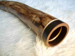 agave didgeridoo 21