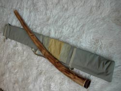 agave didgeridoo 22