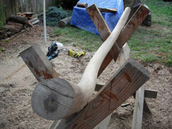 Mystery Wood Didjeridu in Progress
