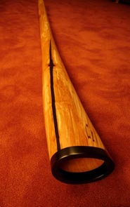 wood didgeridoo for sale