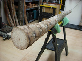 agave didgeridoo 1