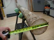 agave didgeridoo 1