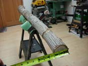 agave didgeridoo 1