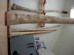 agave didgeridoo 10