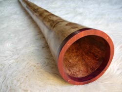 agave didgeridoo 20