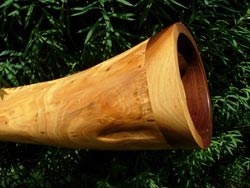Elm Wood Didgeridoo