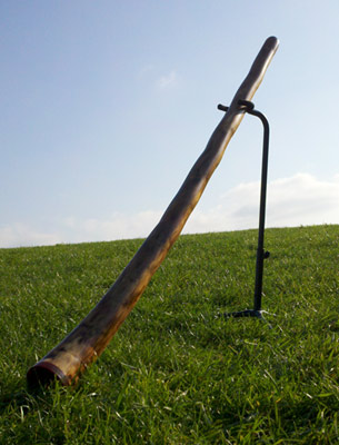 agave didgeridoo with maple mouthpiece and walnut bell