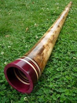 agave didgeridoo 1
