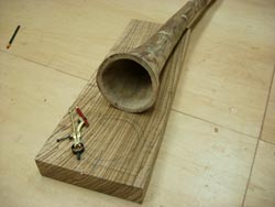 agave didgeridoo 7