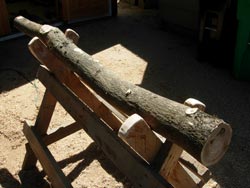making an wooden didjeridu