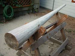 birch didgeridoo