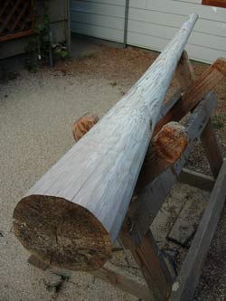 birch didgeridoo