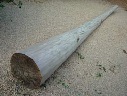 birch didgeridoo