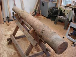 birch didgeridoo