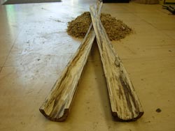 Wood Didjeridu in Progress