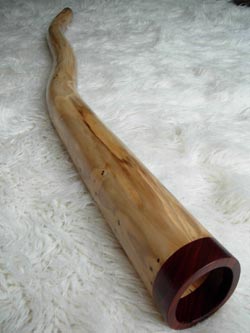 wooden didgeridoo bell