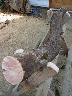 making an wooden didgeridoo