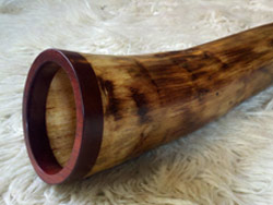 Agave Didgeridoo