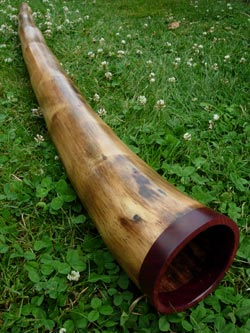 agave didgeridoo 1