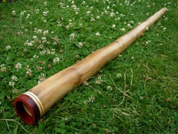 Agave Didgeridoo