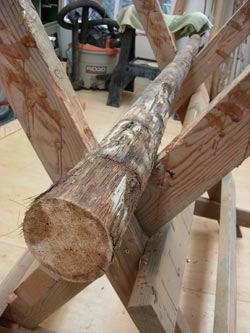 making an agave didgeridoo