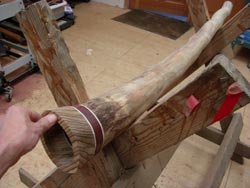 making an agave didgeridoo