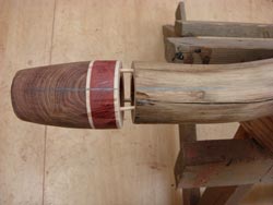 making an agave didgeridoo