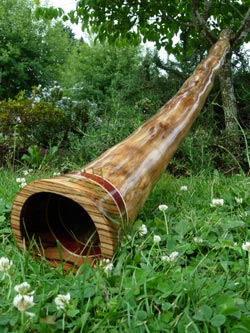 agave didgeridoo 1