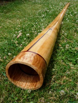 agave didgeridoo 1